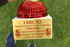 21-24.11.2024г.-Ротор-2014-Томск-5
